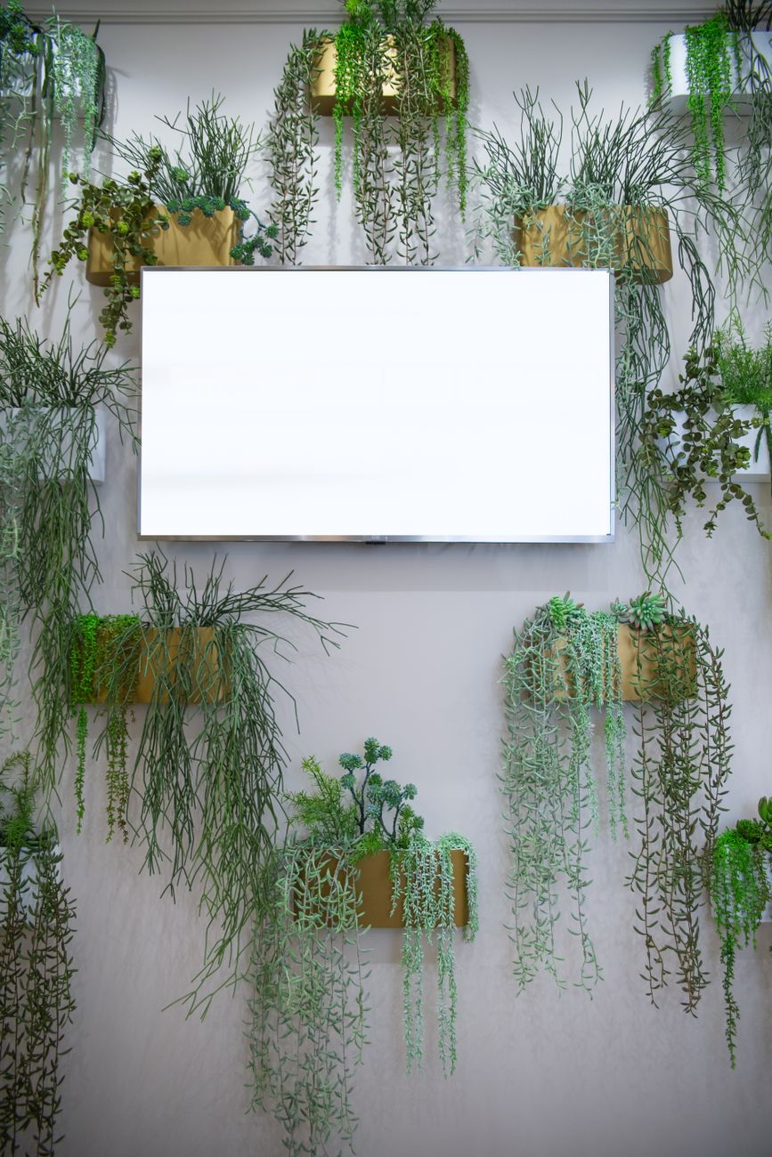 Stunning interior green wall setup with diverse plant textures
